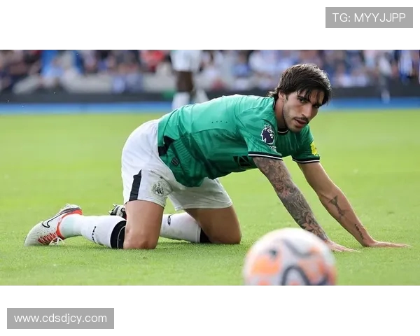 安莎社报道:里奇佩林等多名球员因涉赌遭调查并申请罚款止诉